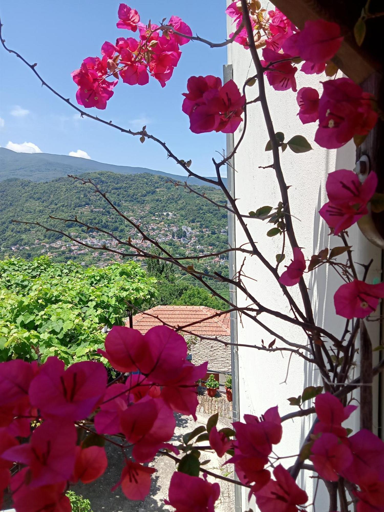 Guesthouse Kallisti Anílio Pilíu Kültér fotó