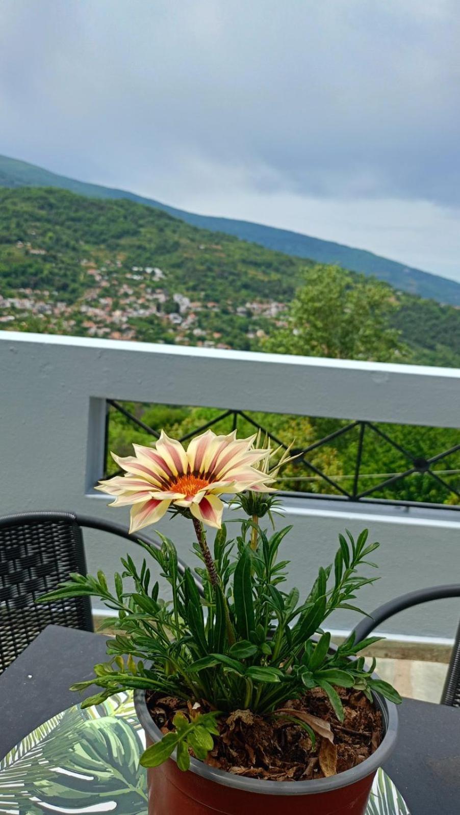 Guesthouse Kallisti Anílio Pilíu Kültér fotó